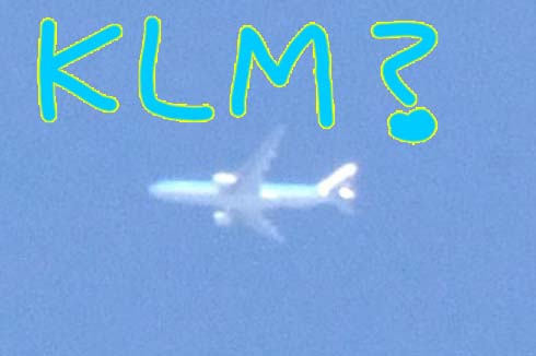 KLMで良い？